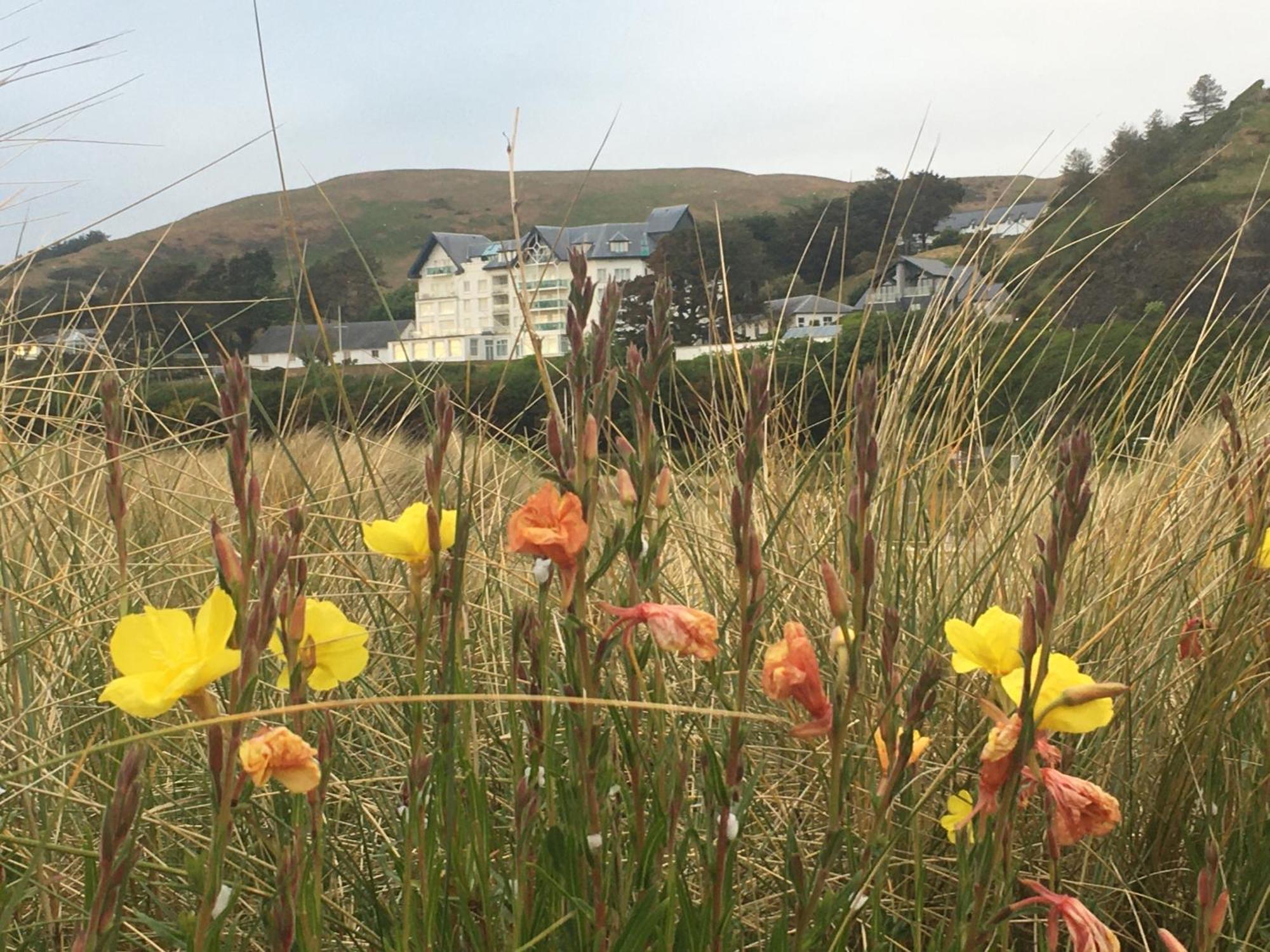 Lovely Seafront 2 Bedroom Apartment 4 Aberdyfi ภายนอก รูปภาพ